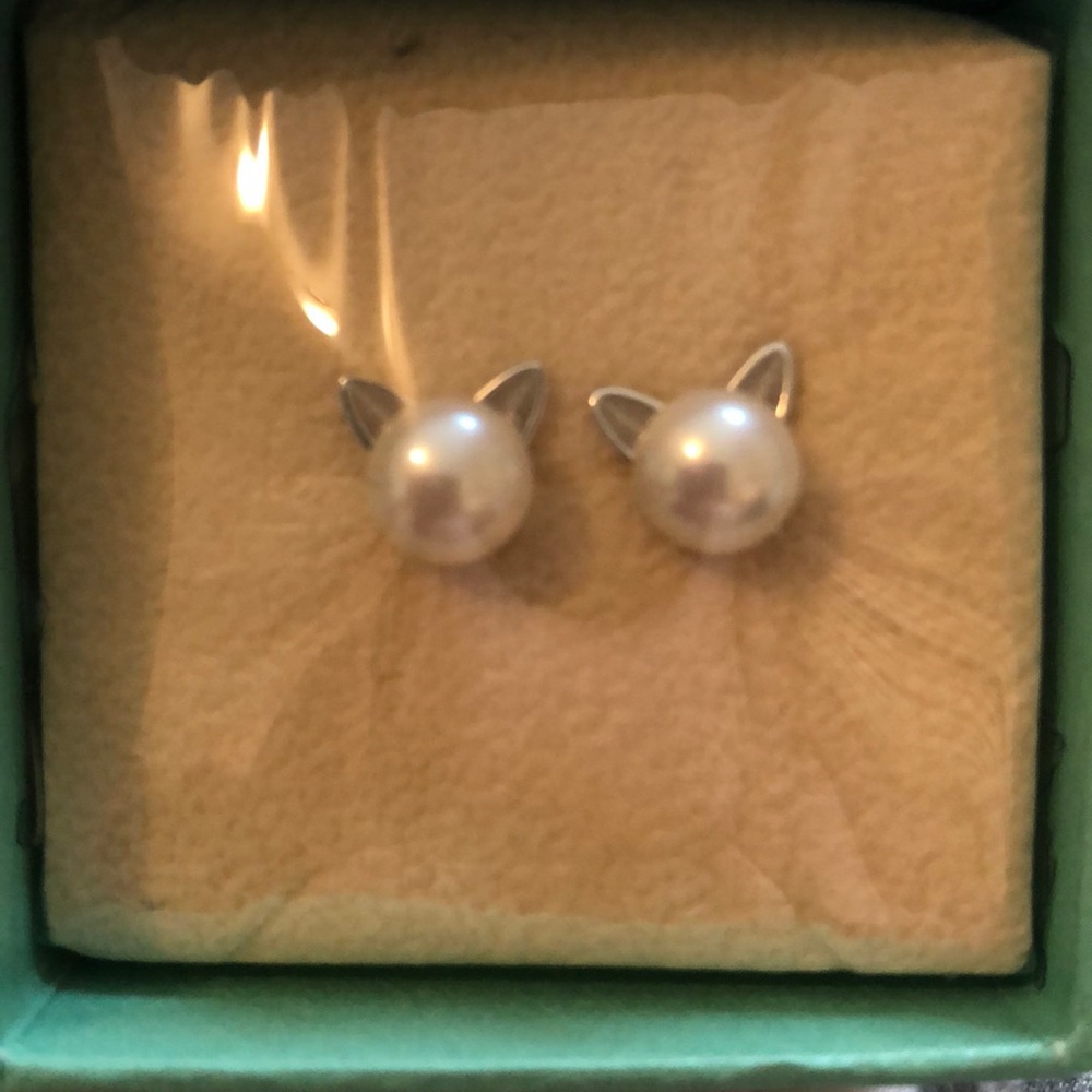 Cat studs